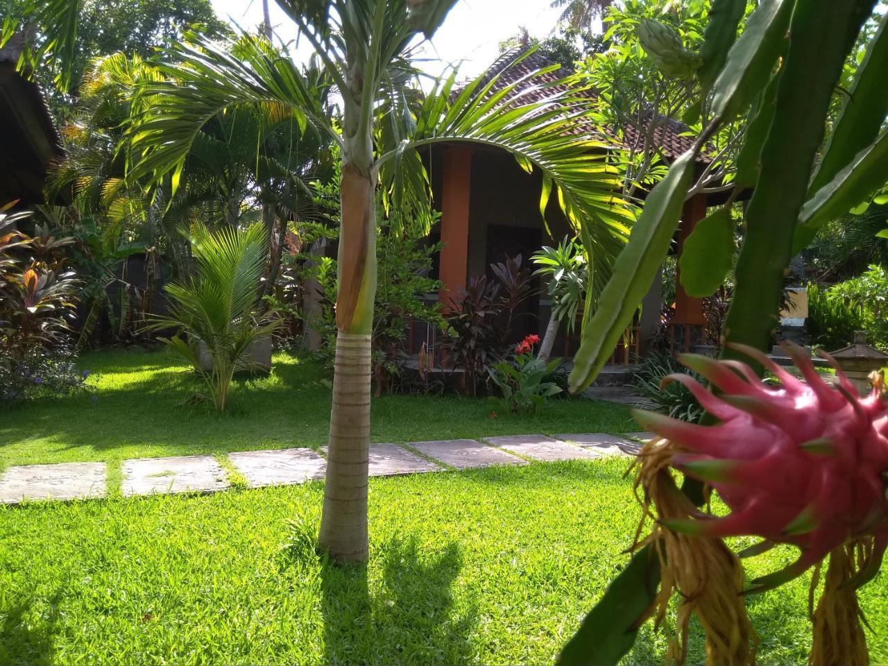 Suka Sari Cottages Pemuteran Exteriör bild